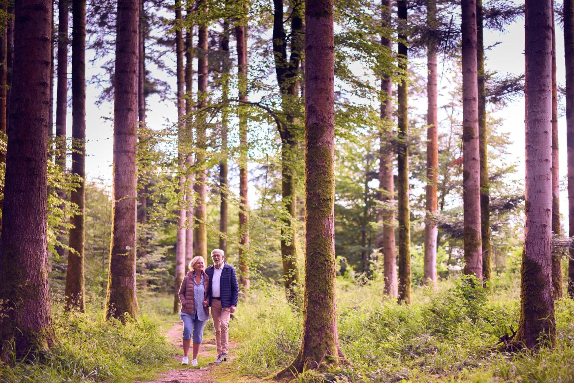 Center Parcs Les Trois Forets Hattigny Eksteriør billede